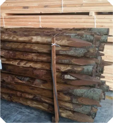 Pali in castagno scortecciato impregnato con punta HOLZ BRENZ srl