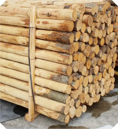 Palo in castagno scortecciato senza punta HOLZ BRENZ srl